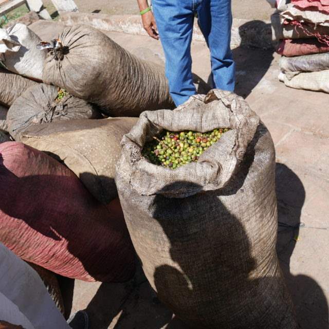 kawa-w-worku kawa ziarnista do biura