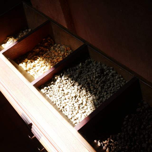 posortowane-ziarna kawa dla baristów łomianki